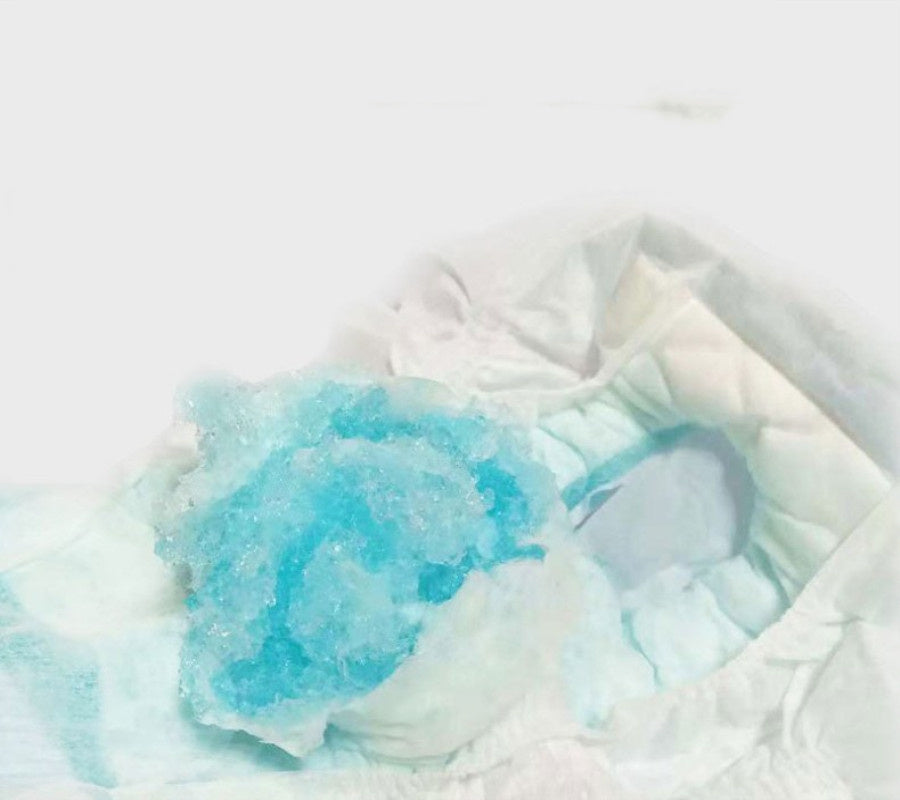 Ruxfy Pet Diapers Menstrual Pants for Female Dogs